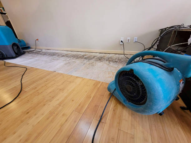 Professional Emergency Water Damage technician working in Stillwater, MN